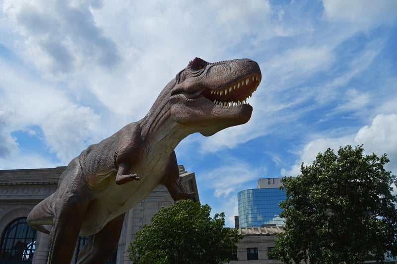 Dinosaur Expedition